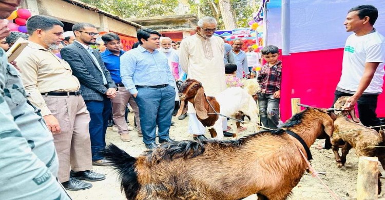 নাগরপুরে প্রাণিসম্পদ প্রদর্শনী মেলা 